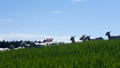 featured image thumbnail for post undefined